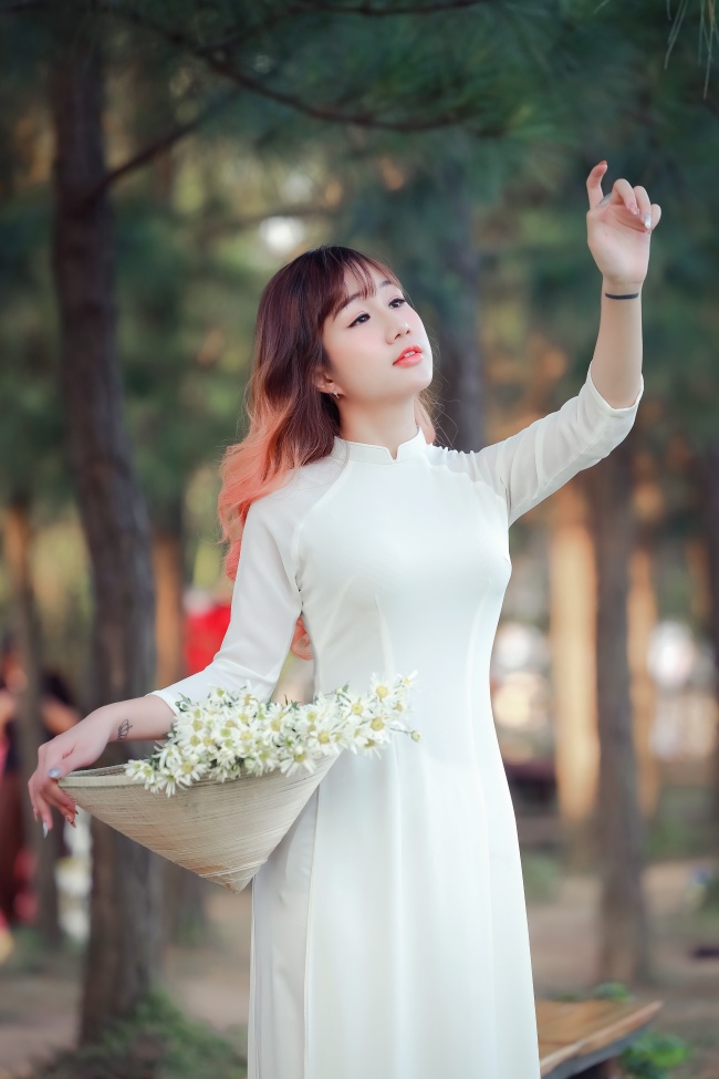 暗夜玫瑰直播